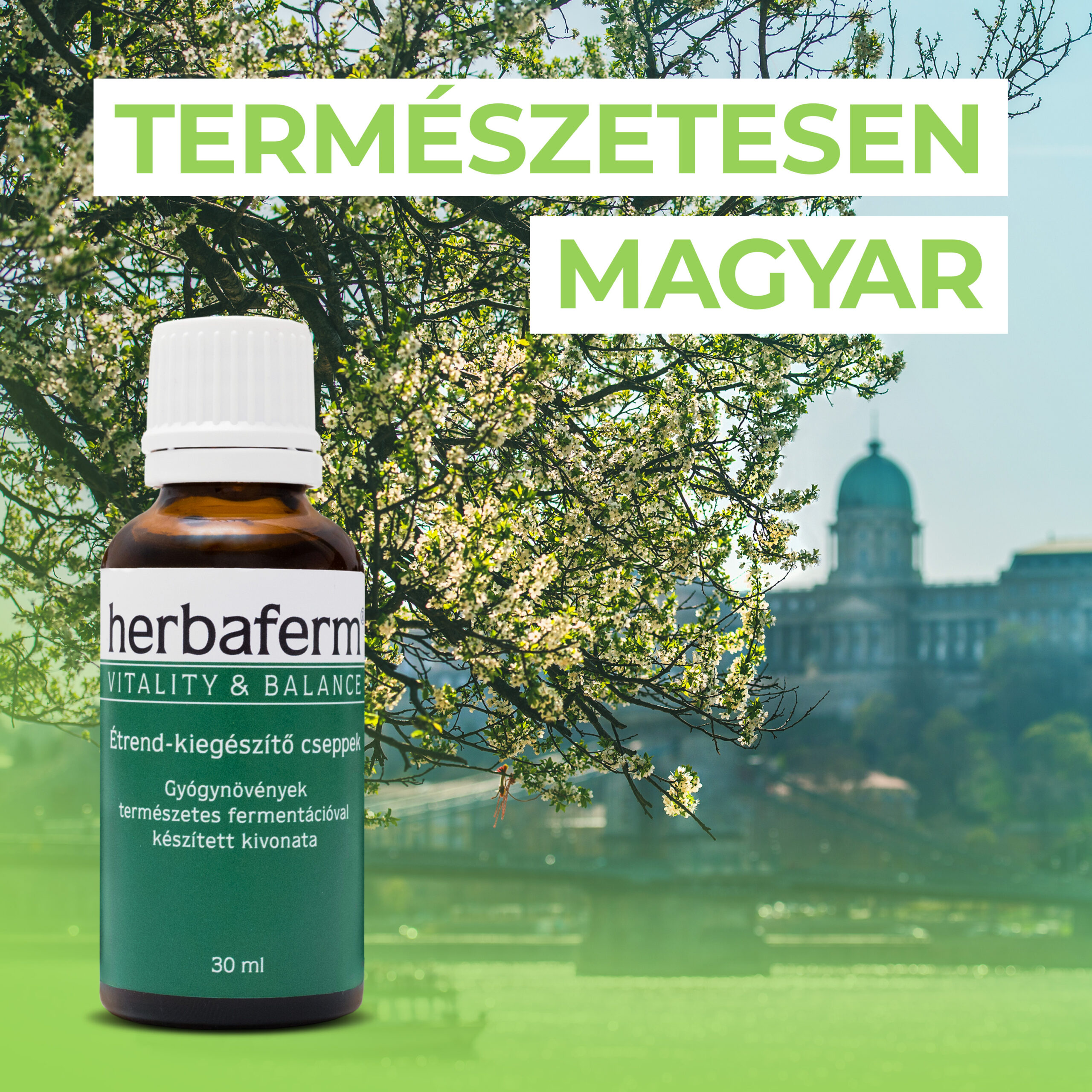 A bőröd a bélrendszered tükre