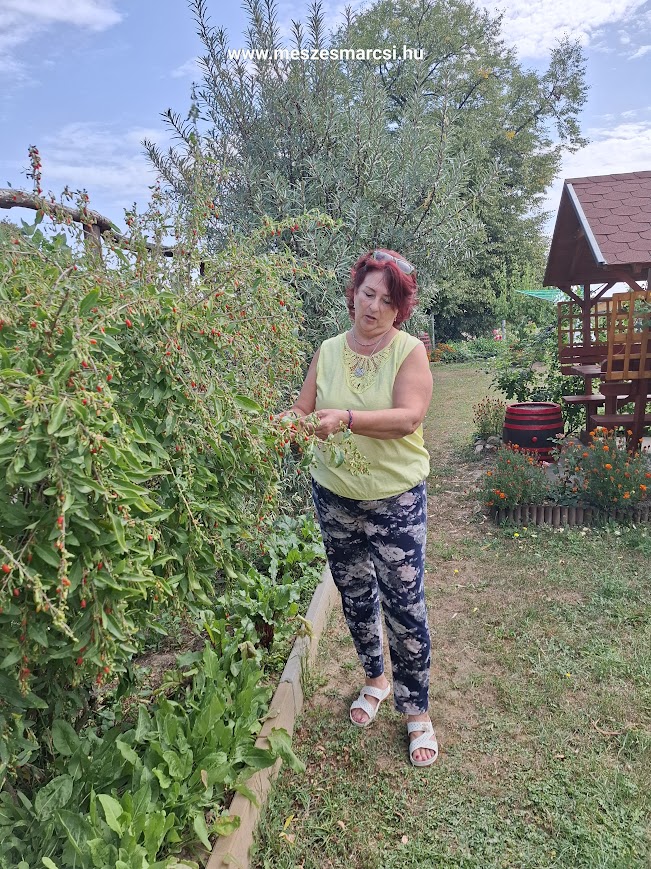 Saját magam problémája voltam