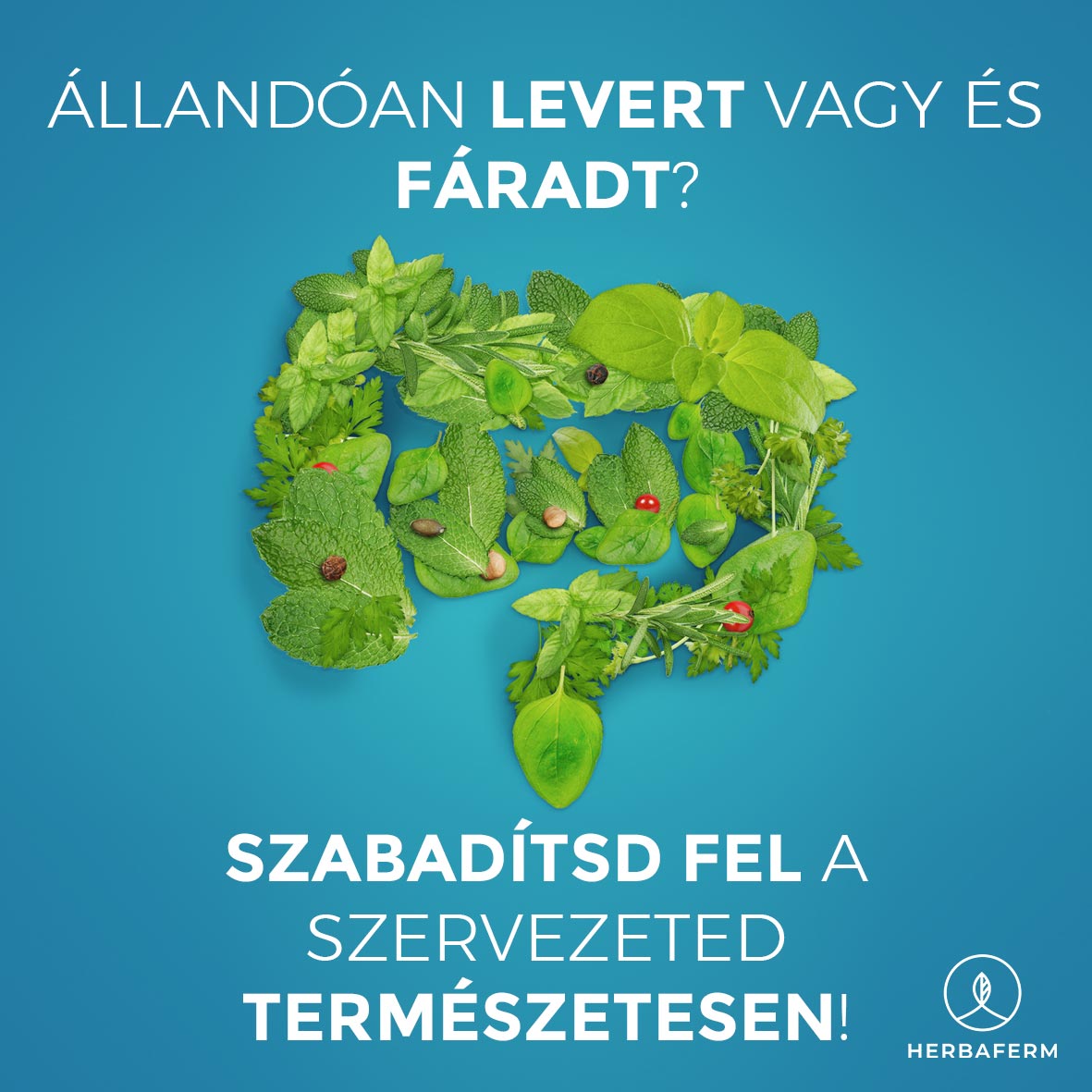 Az „agyködön” túl…